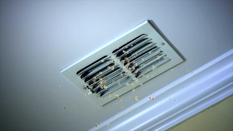  Arbury Hls, IL Airduct Cleaning Pros