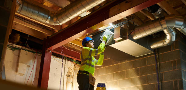 Best Professional Duct Cleaning Services  in Arbury Hls, IL
