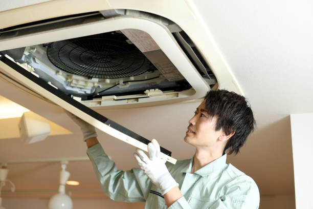 Best Residential Air Duct Cleaning  in Arbury Hls, IL