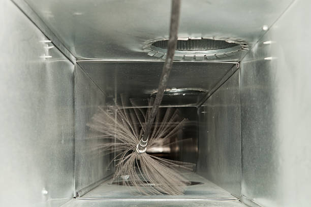 Best Dryer Vent Cleaning Services  in Arbury Hls, IL