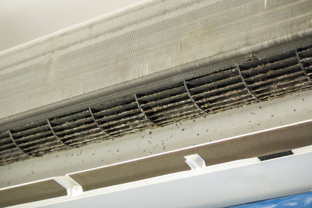Best HVAC Air Duct Cleaning  in Arbury Hls, IL
