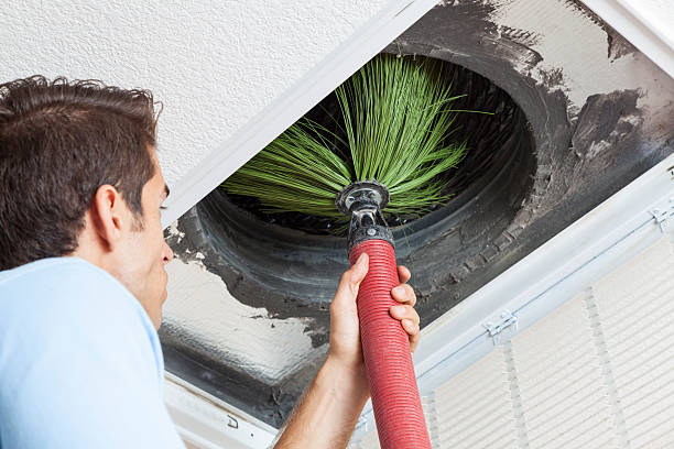 Best Air Duct Cleaning Near Me  in Arbury Hls, IL